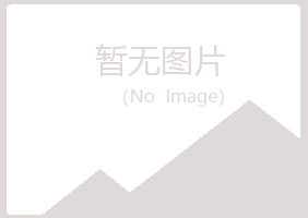 香港夏日服务有限公司